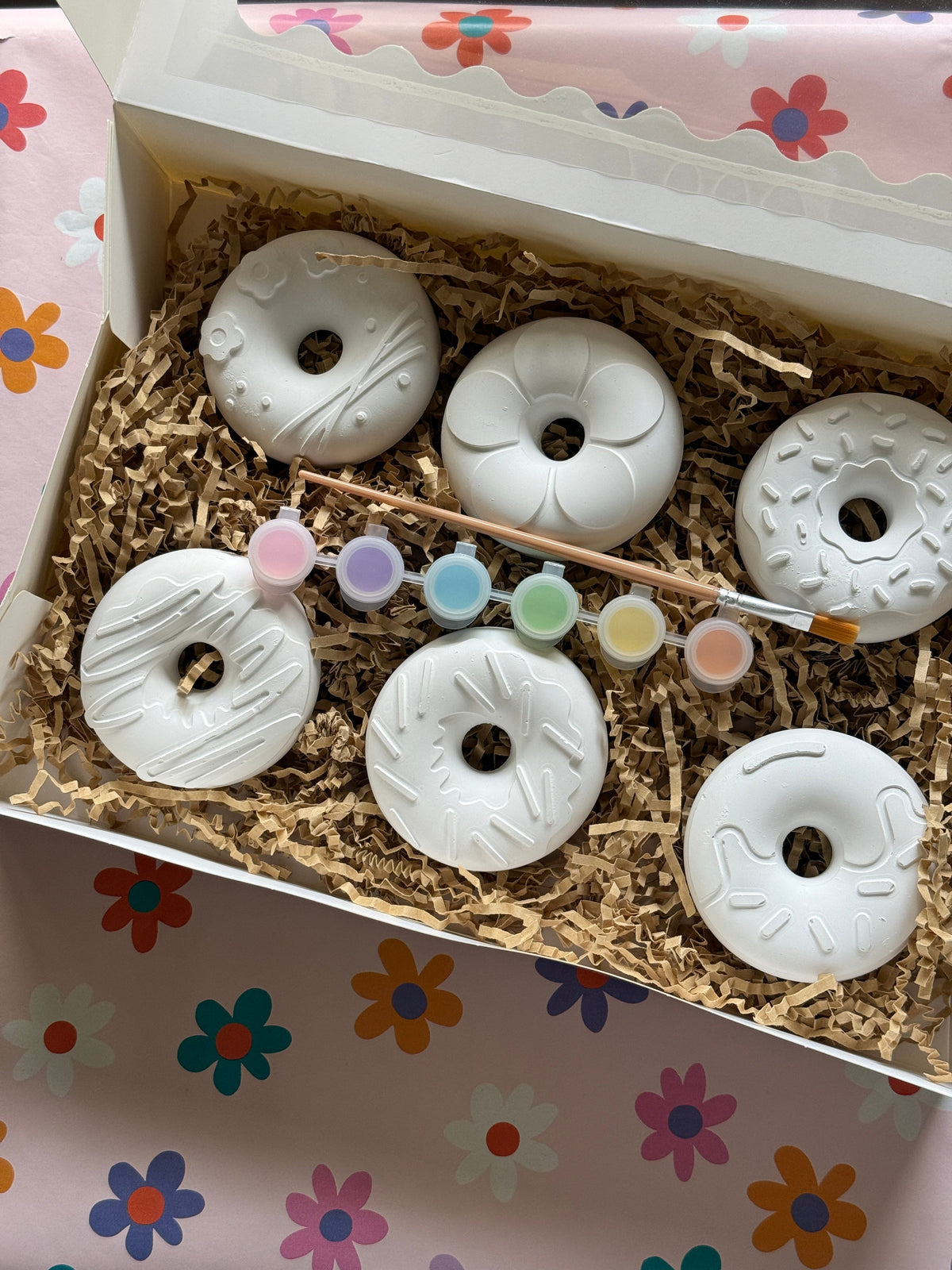 Plaster Kits